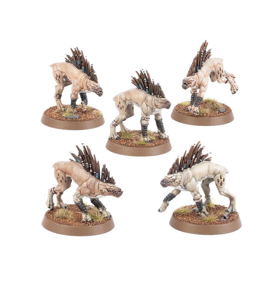 GW - T'AU EMPIRE: KROOT HOUNDS